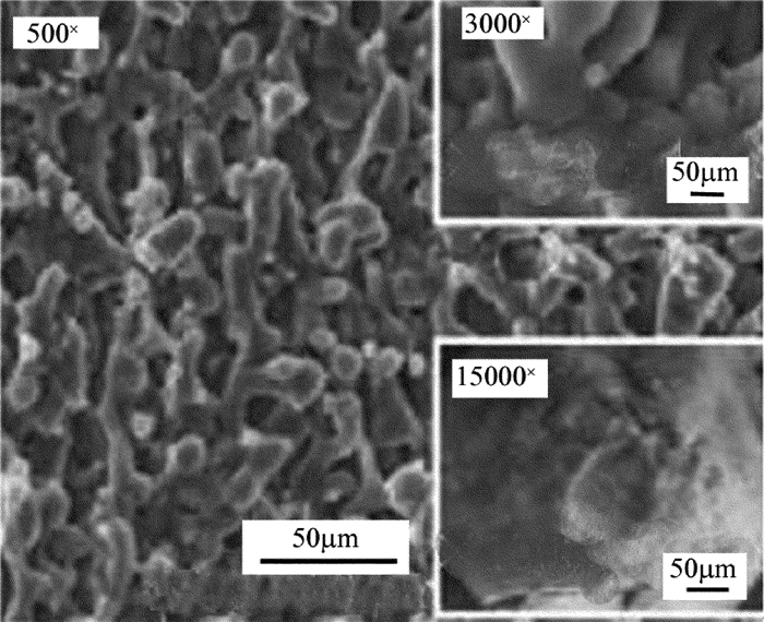 1565331089413198.jpg 8.jpg