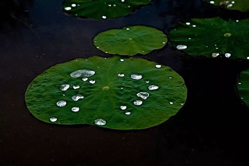 1572847712821254.jpeg 1042232516294.jpeg